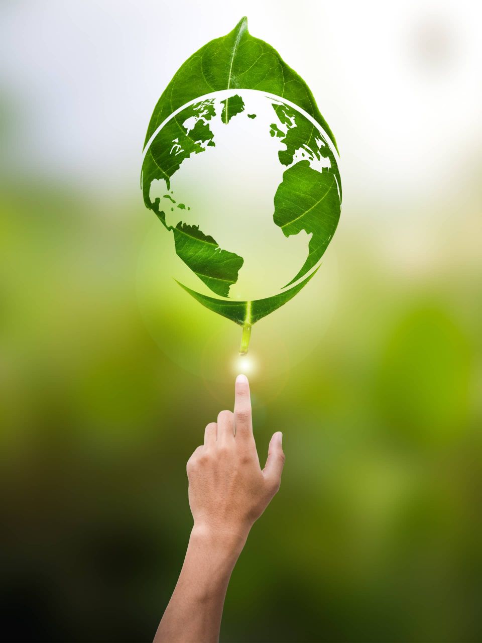 Contribuir con mejorar el medio ambiente - Science & Marketing