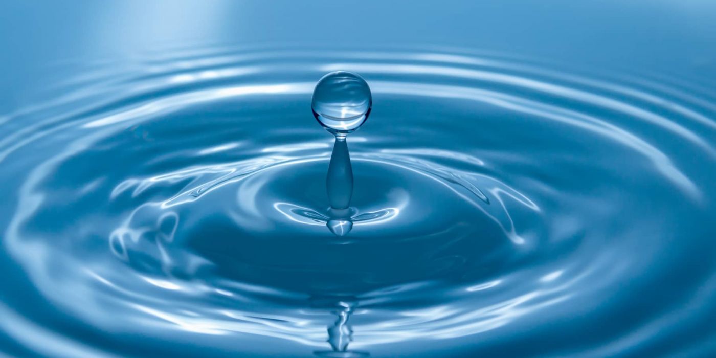 Dominando la simplicidad cognitiva: cómo lograr que tu marca cautive a los consumidores - Science & Marketing